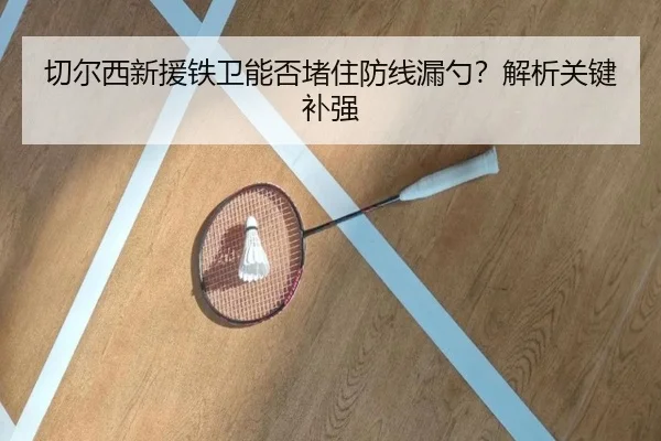 切尔西新援铁卫能否堵住防线漏勺？解析关键补强